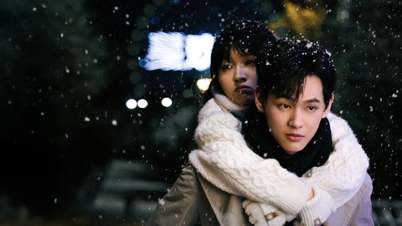 偷偷藏不住之许你（2025）4KSDR  24集全