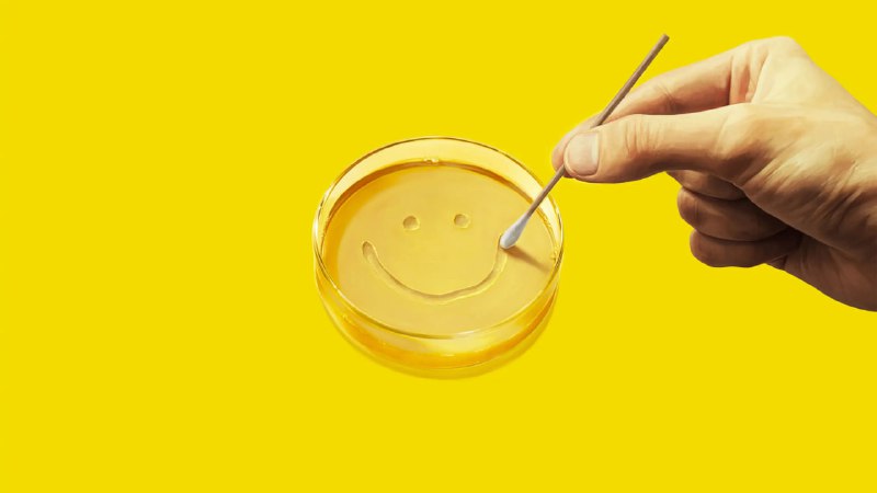 同乐者 (2025) 4KHDR&DV P8 内封简中 9 集全 - 